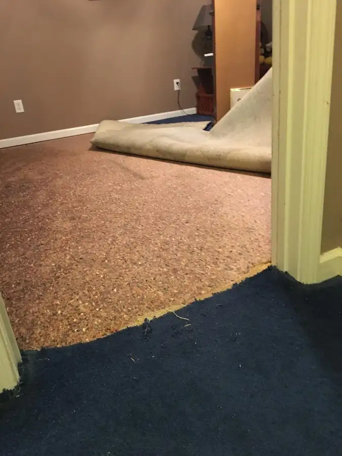 Carpet pad removal revealing water damage during Drying & Dehumidification in Seattle