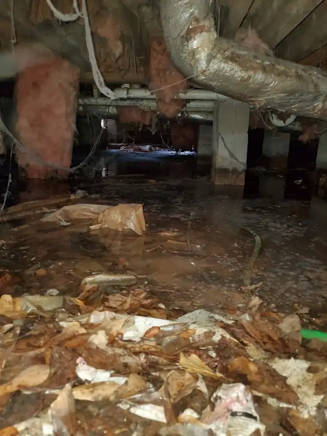 Crawl space flood assessment for Commercial Water Damage Restoration in Seattle